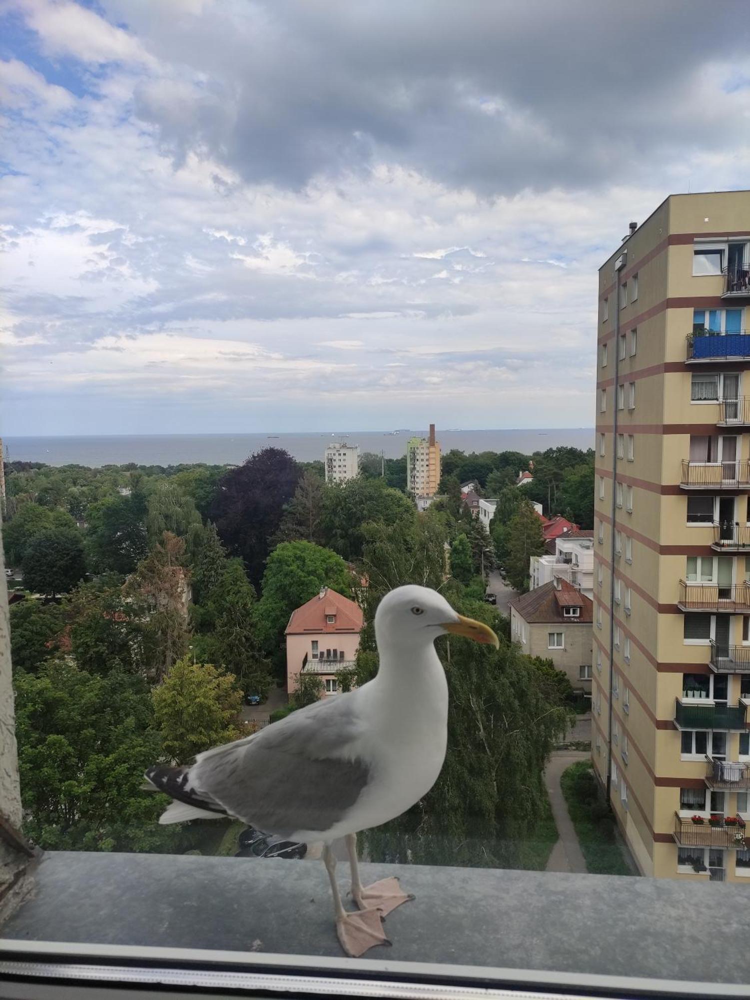 Apartament Widokowo Apartment Sopot Bagian luar foto